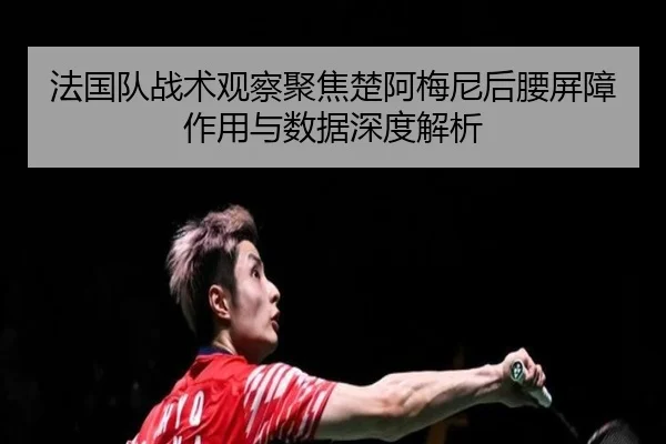 法国队战术观察聚焦楚阿梅尼后腰屏障作用与数据深度解析